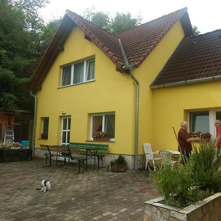 Foki Vendeghaz Villa Hidegseg Exteriör bild